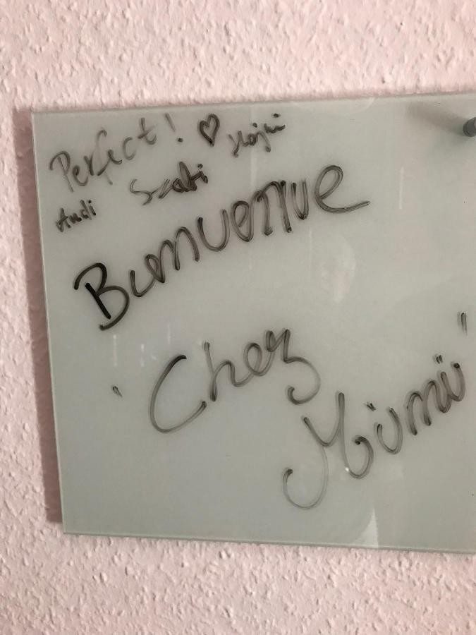 Apartament Chez Mumu Colmar Zewnętrze zdjęcie
